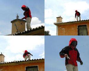 Ninja Wannabe vs. Bees