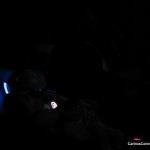 1337 watching the films