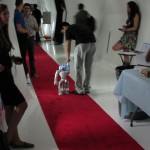 Walking the red carpet